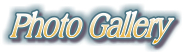 Photo Gallery Button Link